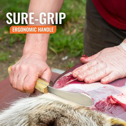 سكين Wiebe Beaver: أداة احترافية للسلخ واللحم، شفرة منحنية من الفولاذ عالي الكربون، مقبض مريح للقندس وفئران المسك وحاملي الفراء in Kuwait