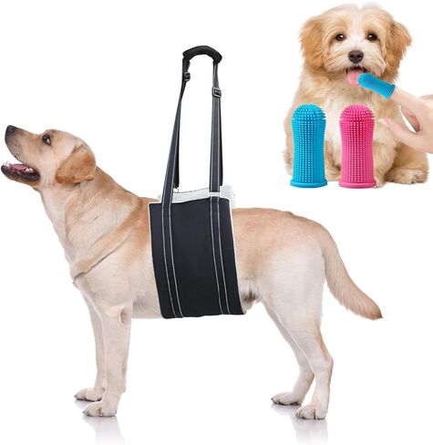 كلب كبير قابل للتعديل رفع تسخير حبال رفع الدعم للأرجل الخلفية الضعيفة دعم الساق الخلفية الناعمة للكلاب المصابة الكبيرة Sling-L + فرشاة أسنان الحيوانات الأليفة in Kuwait