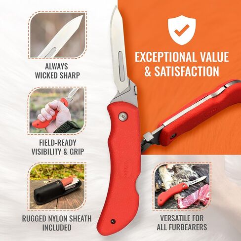Wiebe Red Fox Folding Skinning Knife - Wicked Sharp Replaceable Scalpel Blades (24 Included) & Sheath - High-Visibility Red No-Slip Comfort Grip - for Hunting & Skinning in Kuwait