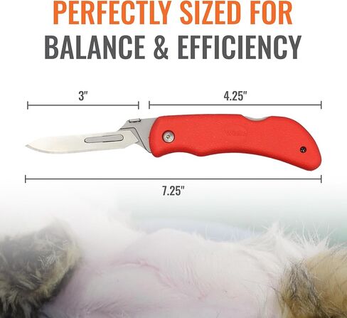 Wiebe Red Fox Folding Skinning Knife - Wicked Sharp Replaceable Scalpel Blades (24 Included) & Sheath - High-Visibility Red No-Slip Comfort Grip - for Hunting & Skinning in Kuwait