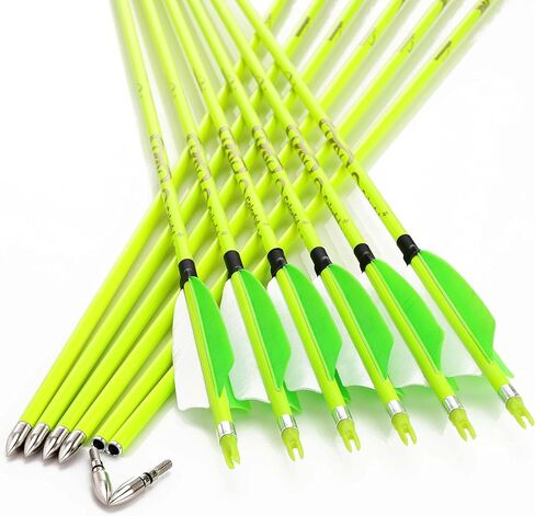 annastar 30" Carbon Feather Arrows Practice Hunting Arrows Spine 300 340 400 500 600 700 800 for Recurve Bow & Compound Bow (12 pcs) in Saudi Arabia