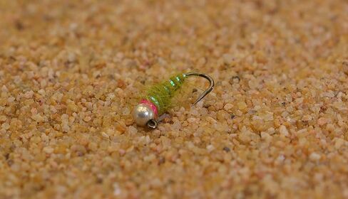 Walt's Sexy Worm Jig Head Fly - Olive - Euro Nymph Tied on Hanak Hooks - 6ct Packs in Saudi Arabia