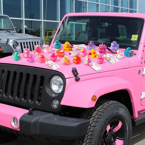 H1vojoxo Valentine’s Day Rubber Ducks - 20 Set Valentine's Day Rubber Ducks for Cruise Valentines Party Favor Duckies Cruise Duck Tags Kits for Pool Bath Toy Goodie Bag Fillers Classroom Exchange Gift in Saudi Arabia