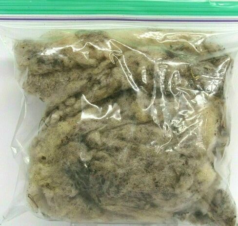 Generic Dunlap Lures Coyote Lure Kit 3 قطع 1 أوقية الجرار محاصرة الإمدادات K-34 in Kuwait