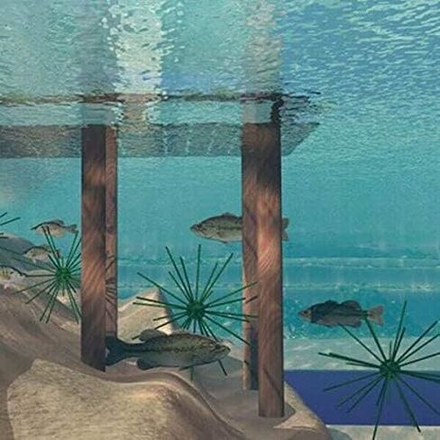 الأرز بيل الرقص النيص الأسماك جاذبة 6 مجالات، الصيد جاذبة الموئل، البحيرات، الأنهار، البرك هيكل in Saudi Arabia
