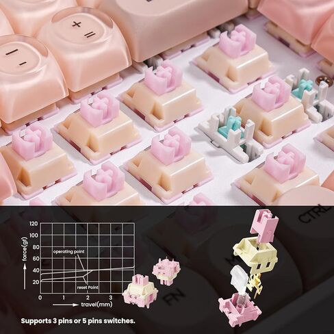 ZORNHER ZH100 Foundation Mechanical Keyboard,98% Pink Creamy Keyboard with Number Pad,Full Size Gaming Keyboard Cute,Jelly MOA Profile Round Keycaps,Creamy Sounding Linear Switches,PC Gaming in Kuwait