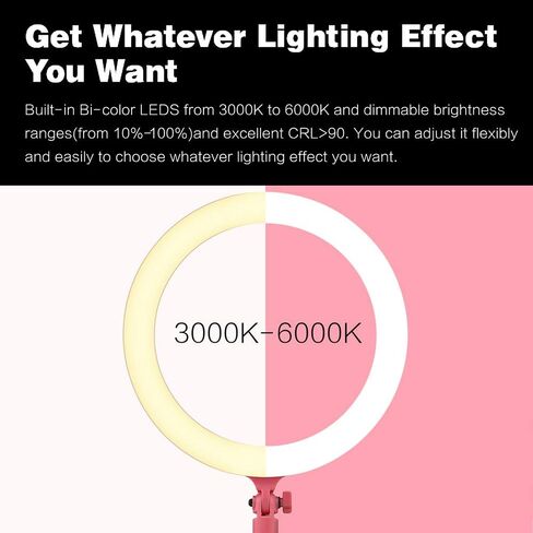 GODOX LR120 12 بوصة LED حلقة ضوء التصوير الفوتوغرافي ملء الضوء 3000K-6000K ثنائي اللون درجة الحرارة قابل للتعديل سطوع USB مدعوم مع حامل الهاتف للبث المباشر صورة شخصية ماكياج التصوير الفوتوغرافي in Saudi Arabia