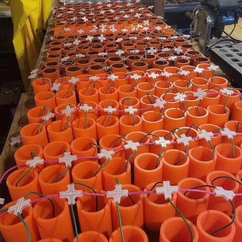50 Pcs Fireworks Fuse Link Bulk Firework Connectors Junction Splitters for Cannon Fuse in Saudi Arabia