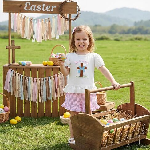 Toddler Baby Girl Easter Outfit He Is Risen Cross Embroidery Short Sleeve T-Shirt Plaid Shorts Set Christian Clothes in Saudi Arabia