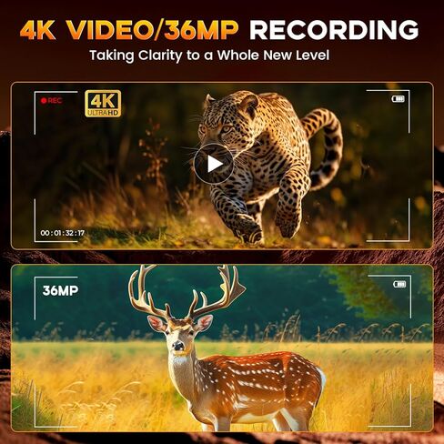 مناظير للرؤية الليلية بدقة 4K مع أداة تحديد المدى للبالغين - نظارات رؤية ليلية بالأشعة تحت الحمراء مع تكبير 8× وصور بدقة 36 ميجابكسل وتسجيل فيديو بدقة 4K - للصيد والتخييم والحياة البرية وأمن المنزل in Saudi Arabia