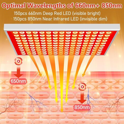 العلاج بالضوء الأحمر للجسم والوجه | 150 مصباح LED مزدوج الطول (660 نانومتر أحمر و850 نانومتر الأشعة تحت الحمراء) مع حامل قابل للتعديل | تجديد بشرة الجسم بالكامل واسترخاء العضلات وتخفيف الآلام في المنزل in Kuwait