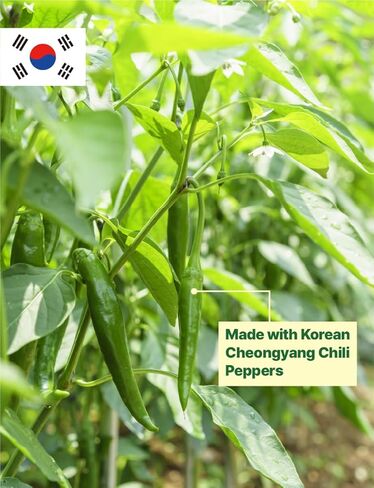 (100g/ 3.5oz) XL Korean Spicy Pepper Cubes – Easy Drop-In Heat for Soups, Stir-Fries, Noodles & More Freeze Dried Chopped Cheongyang Chili Pepper Big Size From Korea 한국산 동결건조 다진 청양고추 in Saudi Arabia