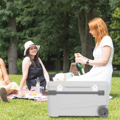 2pcs Cooler Lock Column & 10pcs Screws, High-Strength Cooler Latch Replacement Parts with Plastic Latches Posts Set Compatible with Igloo 50-165 Qt in Kuwait