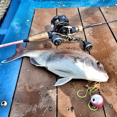 GOMEXUS Power Handle Compatible for Shimano Calcutta Conquest Daiwa Saltiga Zillion Abu Garcia Revo Baitcasting Reels Bass Fishing in Kuwait