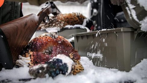 Flambeau Outdoors 7415SB Shotshell Ammo Can، مخزن ذخيرة محمول، قياسي in Saudi Arabia