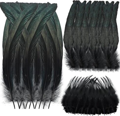 Suncalla Rooster Feathers 250 Pcs 4-6/10-12/12-14 Inches Craft Colored Feathers for DIY Crafts Holiday Costume Carnival Party Supplies and Home Decorations(Orange) in Saudi Arabia