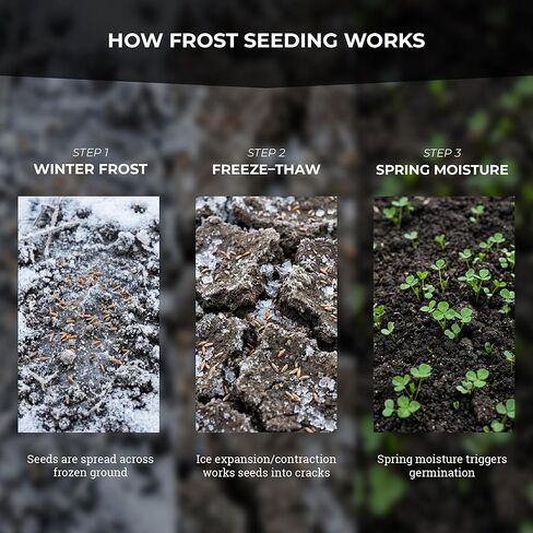 بذور قطعة طعام OG Frost Seed - مزيج بذور الصقيع المصمم خصيصًا لأواخر الشتاء وأوائل الربيع للزراعة بدون حراثة، مصمم لظروف التجميد والذوبان in Saudi Arabia