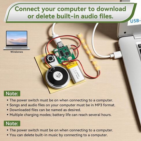 1PCS Customize Recording Module with LED Strip DIY Music Voice Recording Module Chip with Speaker,Type-C Cable,Capability16 Minutes Music for Personalized Greetings, Holiday Crafts Cards with Manual in Saudi Arabia