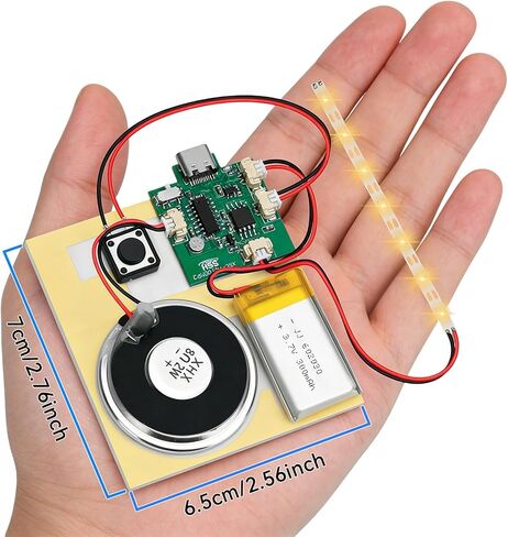 1PCS Customize Recording Module with LED Strip DIY Music Voice Recording Module Chip with Speaker,Type-C Cable,Capability16 Minutes Music for Personalized Greetings, Holiday Crafts Cards with Manual in Saudi Arabia