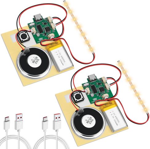 1PCS Customize Recording Module with LED Strip DIY Music Voice Recording Module Chip with Speaker,Type-C Cable,Capability16 Minutes Music for Personalized Greetings, Holiday Crafts Cards with Manual in Saudi Arabia