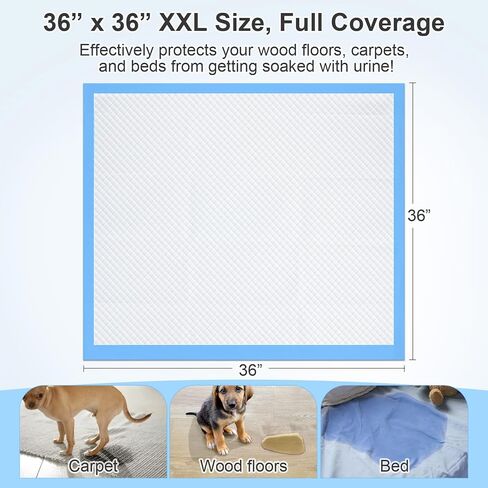 وسادات تبول للكلاب مقاس 4XL مقاس 36 × 36 بوصة سميكة مكونة من 6 طبقات، 100 قطعة، وسادات تبول فائقة الامتصاص، تمتص ما يصل إلى 12 كوبًا، مانعة للتسرب وسريعة الجفاف للجرو والجراحة وكبار السن والقطط والأرانب، 100 قطعة in Kuwait