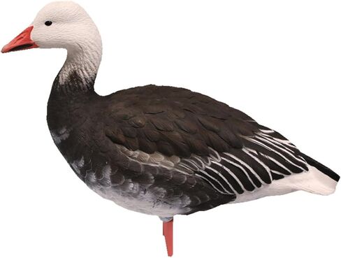 Avian-X AXP لكامل الجسم الثلجي/الأزرق، مزيج الأوز، 10 عبوات in Saudi Arabia