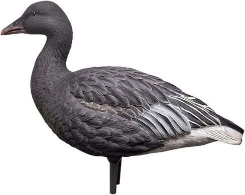 Avian-X AXP لكامل الجسم الثلجي/الأزرق، مزيج الأوز، 10 عبوات in Saudi Arabia