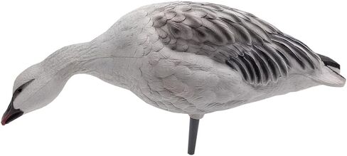 Avian-X AXP لكامل الجسم الثلجي/الأزرق، مزيج الأوز، 10 عبوات in Saudi Arabia