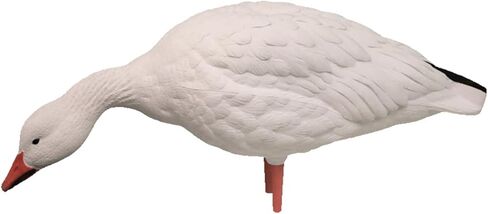 Avian-X AXP لكامل الجسم الثلجي/الأزرق، مزيج الأوز، 10 عبوات in Saudi Arabia