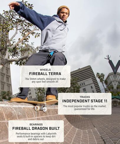 Fireball Independent Trucks Stage 11 Skateboard Trucks Bundle - Set of 2 Independent Stage 11 Trucks with Terra 54mm Skateboard Wheels & Built Bearings for Cruising in Saudi Arabia