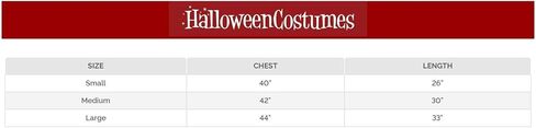 Forum Novelties Native American Princess Costume, Child's Large in Saudi Arabia