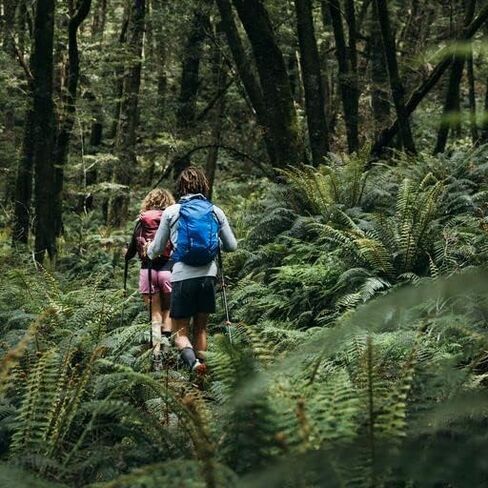 حقيبة ظهر CamelBak Arete 14 للترطيب للمشي لمسافات طويلة، 50 أونصة in Saudi Arabia