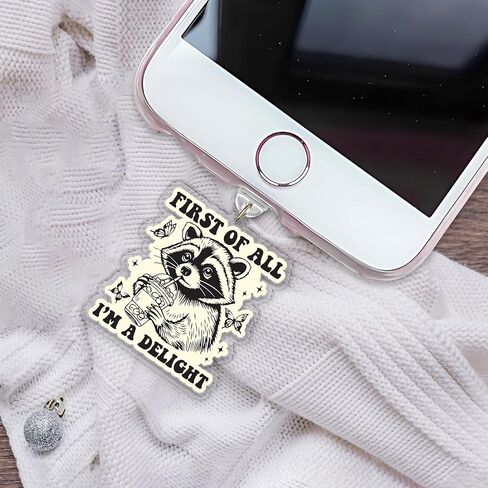 Be Happy It Drives People Crazy Charms for Kindle, Dust Plug Charm 1.5 Inches Funny Quote, Overstimulate Positivity, Lightning/Type C Acrylic Material Charms for E-Reader, Accessories for Kindle in Kuwait