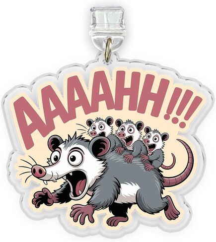 Be Happy It Drives People Crazy Charms for Kindle, Dust Plug Charm 1.5 Inches Funny Quote, Overstimulate Positivity, Lightning/Type C Acrylic Material Charms for E-Reader, Accessories for Kindle in Kuwait