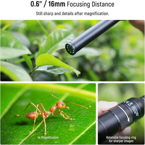NEEWER 16mm 4X Macro Probe Lens مع 109° FOV 17mm موضوع مصباح LED قابل لإعادة الشحن للتصوير الفوتوغرافي الماكرو المحمول وتسجيل الفيديو متوافق مع عدسة كاميرا iPhone Samsung NEEWER قفص/حافظة الهاتف، LS-63 in Saudi Arabia
