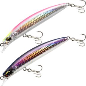 Holographic Fish Scale Minnow119S-2Pack,Slow-Sinking California Surf Fishing Lures with Tungsten Weight,Long Cast System,Through-Wire Construction, Baits for Halibut, Striped Bass and Perch in Saudi Arabia