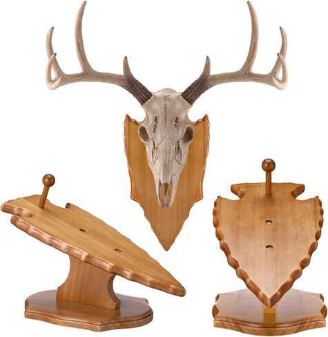 Leinuosen 1 Set Deer European Skull Mount Kit Antler Skull Mounting Kit Wooden Display Mount for Hunting Trophy Wall Decorations (Dark Brown) in Saudi Arabia