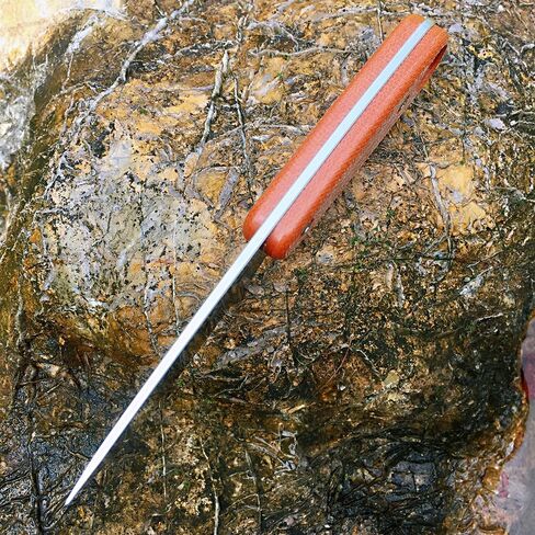 حارس W204D EDC شفرة مثبتة سكين 14C28N شفرة الصلب ميكارتا مقبض مع أغلفة كيديكس للأنشطة الخارجية التخييم in Kuwait