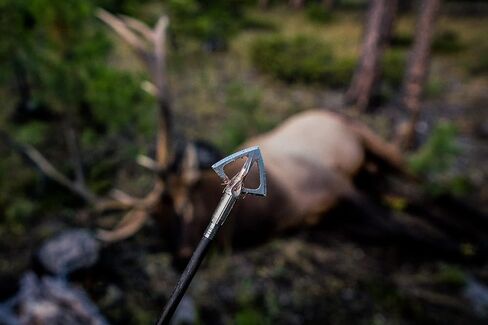SIK F4 4-Blade Cut on Contact Fixed Blade Broadhead، فضي، مقاس واحد (ABH101F4) in Saudi Arabia