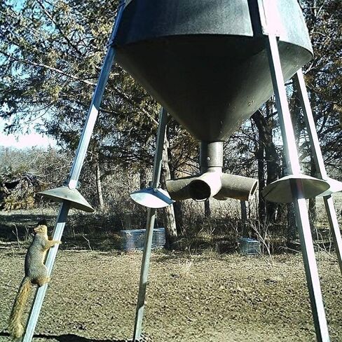 BOSS Buck Varmint قمع متين وخفيف الوزن من الفولاذ المجلفن الواقي للسنجاب مع براغي ذاتية التنصت لتغذية اللعبة، مجموعة من 3 in Kuwait