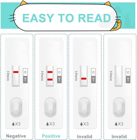 طقم اختبار الحمل للكلاب والقطط في المنزل، اختبار بول الكلاب، اختبار بول القطط، 10-15 دقيقة للحصول على نتائج الاختبار، معدل دقة يزيد عن 98.8%، غير مؤلم، دقيق وسريع in Kuwait