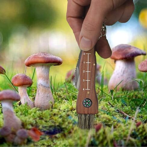 Mushroom Knife with Brush and Foraging Bag Kit, Folding Gardening Knives for Pruning, Foraging Knife with Belt Pouch & Sharpener, Harvest knifes for Outdoor Camping Hunting in Saudi Arabia