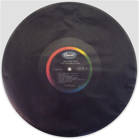 (500) 12" Round Bottom Record Inner Sleeves - 2 Mil Thick - Archival Quality, Anti-Static HDPE #12IH02R in Saudi Arabia