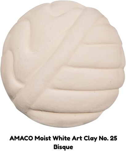 Amaco 45015Y Moist Earthenware Modeling Clay, Low Fire, Multi-Purpose, #25 White in Saudi Arabia