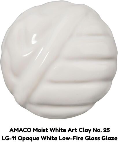 Amaco 45015Y Moist Earthenware Modeling Clay, Low Fire, Multi-Purpose, #25 White in Saudi Arabia
