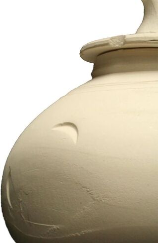 Amaco 45015Y Moist Earthenware Modeling Clay, Low Fire, Multi-Purpose, #25 White in Saudi Arabia