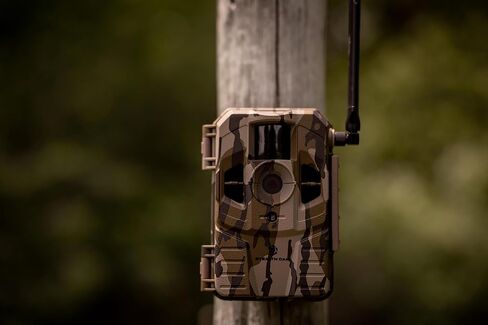 كاميرا Stealth Cam Connect الخلوية in Saudi Arabia