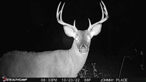كاميرا Stealth Cam Connect الخلوية in Saudi Arabia