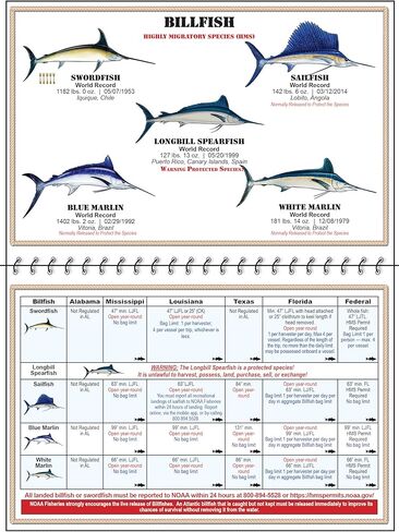 Gulf of Mexico | Gulf of America Saltwater Fish Identification Chart w/Rules, Regulations, Limits, & Sizes. 150 + Fish & Shark Photographs; Texas, Mississippi, Alabama, Louisiana Fishing ID Guide in Saudi Arabia