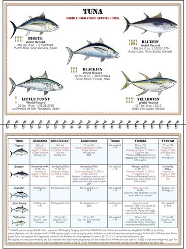 Gulf of Mexico | Gulf of America Saltwater Fish Identification Chart w/Rules, Regulations, Limits, & Sizes. 150 + Fish & Shark Photographs; Texas, Mississippi, Alabama, Louisiana Fishing ID Guide in Saudi Arabia